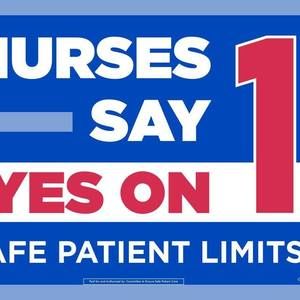 Meet your Posher, Ann